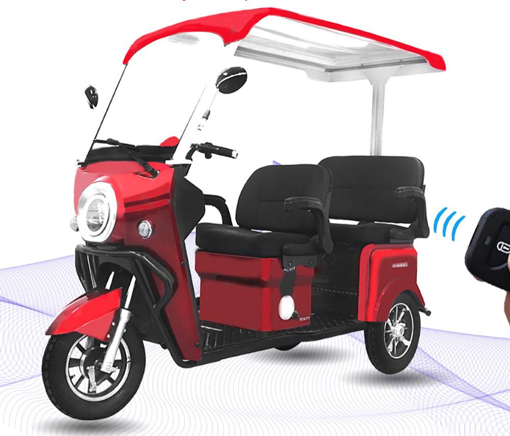 AL-H300 Electric Tricycle with Roof